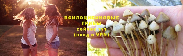 прущие крисы Абдулино