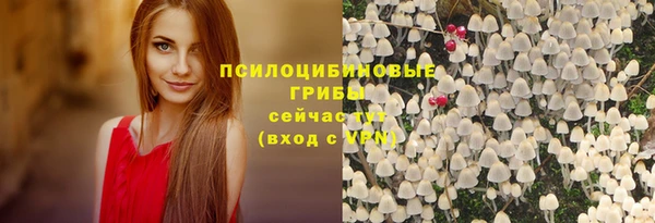 прущая мука Абаза