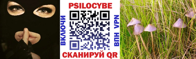 хочу наркоту Поворино Псилоцибиновые грибы Cubensis